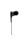 Наушники внутриканальные Beats Tour 2 Black (MKMT2ZE/A)